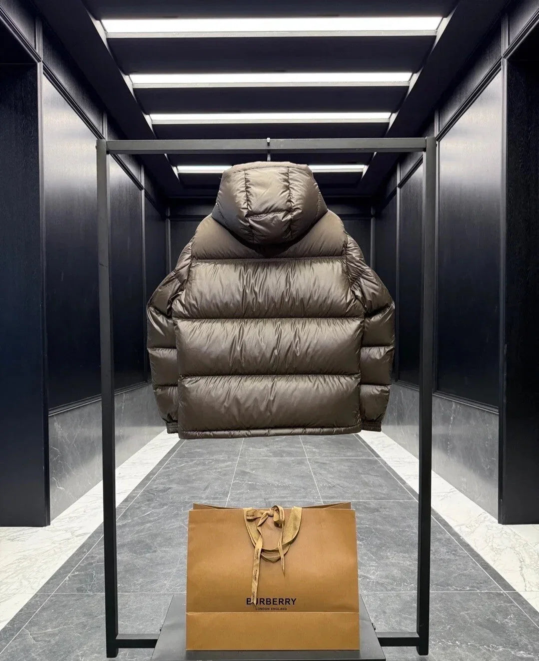 Viral Goose Down Jacket